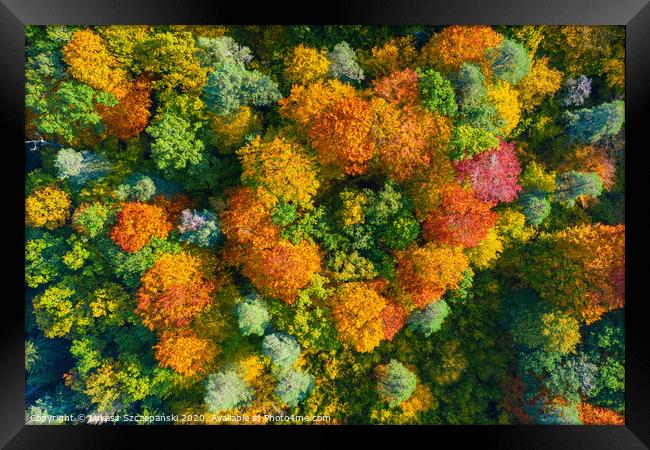 Aerial top down view of vibrant colorful autumn fo Framed Print by Łukasz Szczepański