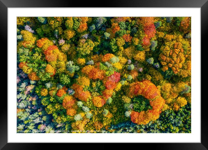 Aerial top down view of vibrant colorful autumn fo Framed Mounted Print by Łukasz Szczepański