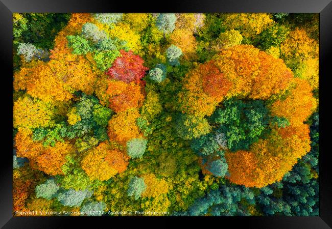 Aerial view of color autumn forest Framed Print by Łukasz Szczepański