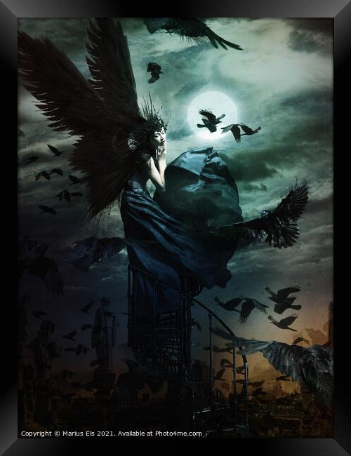 Raven Queen Framed Print by Marius Els
