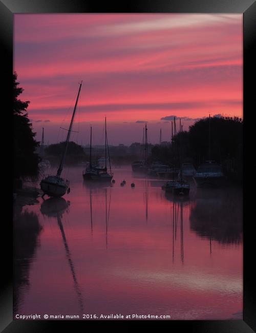 Sunrise on the River Frome at Wareham, Dorset Framed Print by maria munn