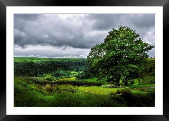Looking over the Gwaun Valley Framed Mounted Print by Linda Cooke