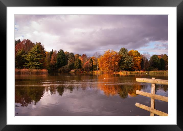 Autumn reflections Framed Mounted Print by Linda Cooke