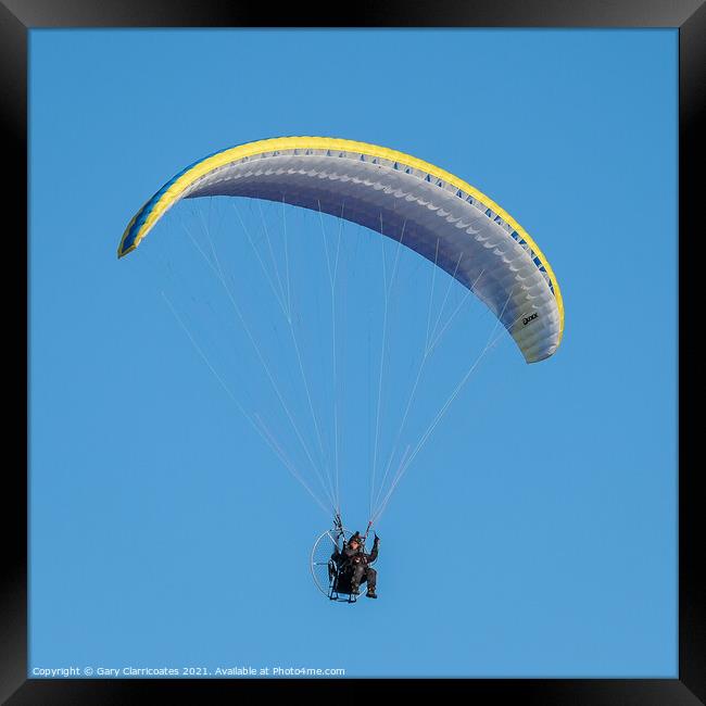 Free as a Bird Framed Print by Gary Clarricoates