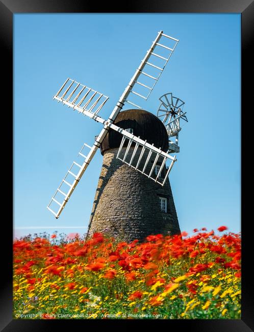 The Flowering Windmill Framed Print by Gary Clarricoates