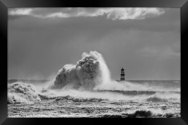 Dramatic Waves at Seaham Framed Print by Gary Clarricoates