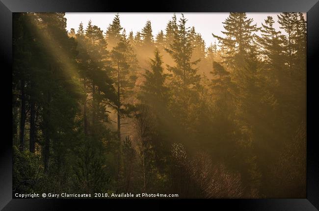 Sunbeams at Cragside Framed Print by Gary Clarricoates