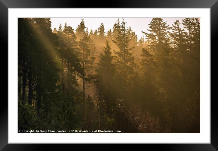 Sunbeams at Cragside Framed Mounted Print by Gary Clarricoates