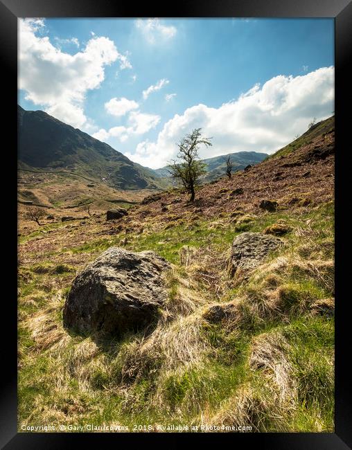 A Haweswater Tree Framed Print by Gary Clarricoates
