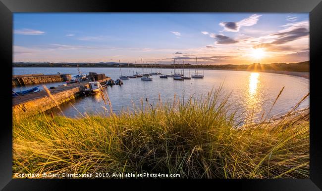 Golden Grasses at Beadnell Framed Print by Gary Clarricoates