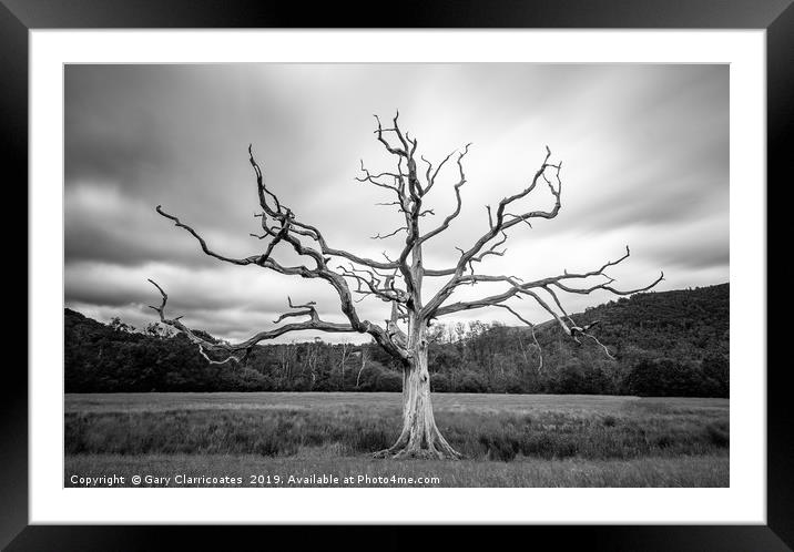 The Dead Tree Framed Mounted Print by Gary Clarricoates