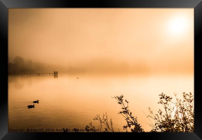 Misty early morning lake in autumn Framed Print by Alan Hill