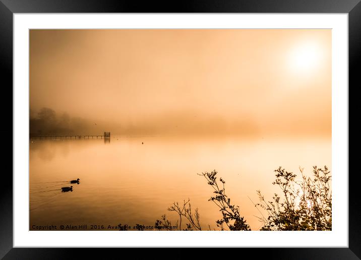 Misty early morning lake in autumn Framed Mounted Print by Alan Hill