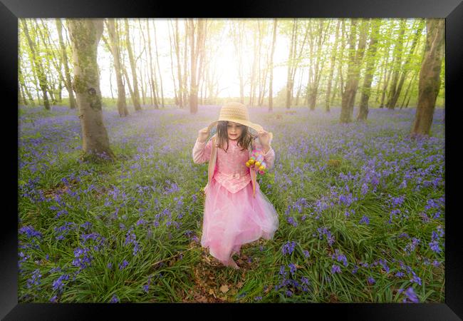 Small girl walks through bluebell woods in pink dress Framed Print by Alan Hill