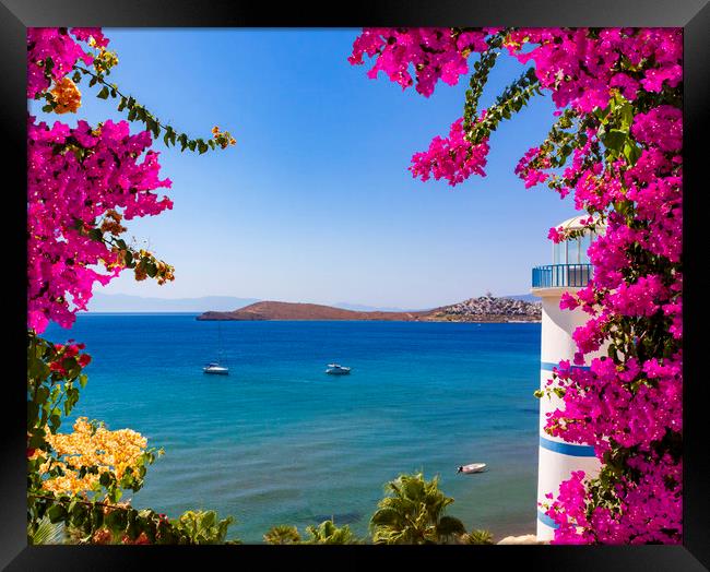 Beautiful pink and purple flowers frame a sea view in Ortakent,  Framed Print by Alan Hill