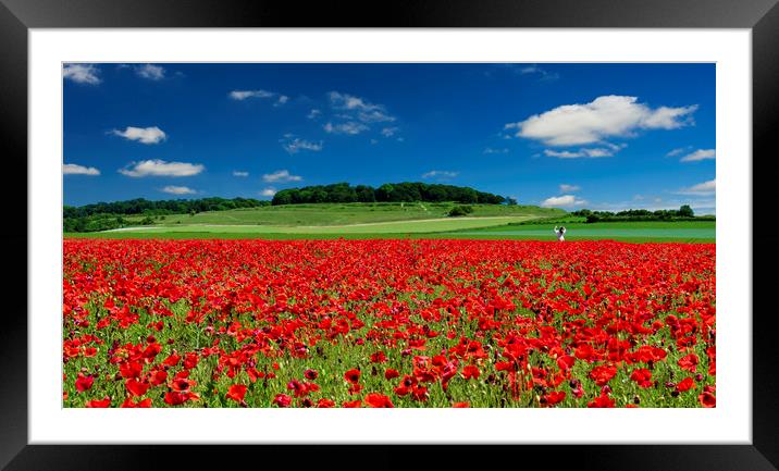 Girl in a field of red poppies at Badbury Rings Framed Mounted Print by Alan Hill