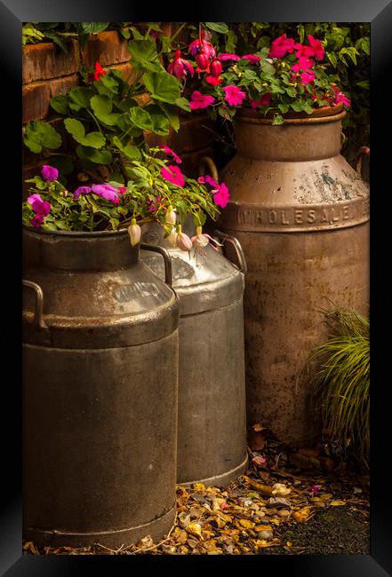 Flowers in old milk churns Framed Print by Alan Hill