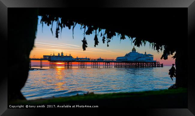 Eastbourne Sunrise Framed Print by tony smith