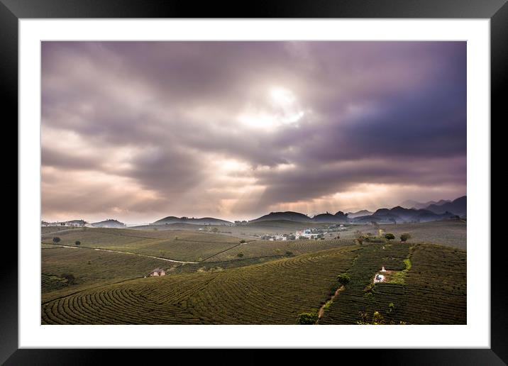 Sunraise on the hill Framed Mounted Print by Pham Do Tuan Linh