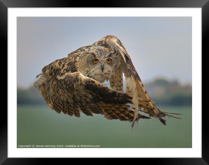 Eurasian Eagle Owl mid-flight Framed Mounted Print by James Kenning