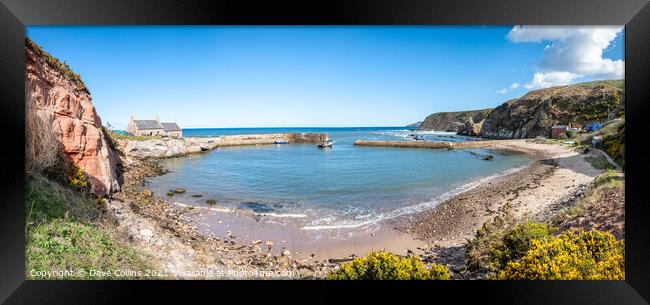 Panorama of Cove Harbour on a clear sunny day at high tide Framed Print by Dave Collins