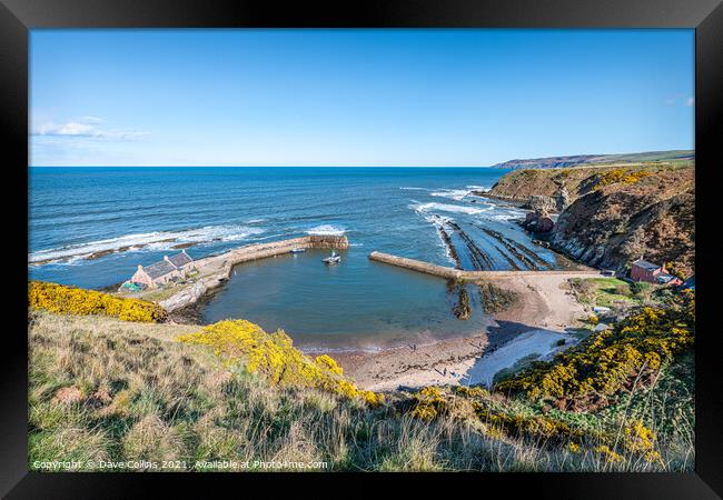 View of Cove Harbour on a clear sunny day at high tide Framed Print by Dave Collins