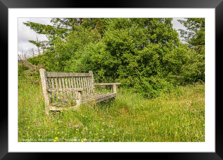 A seat in the sun Framed Mounted Print by Dave Collins
