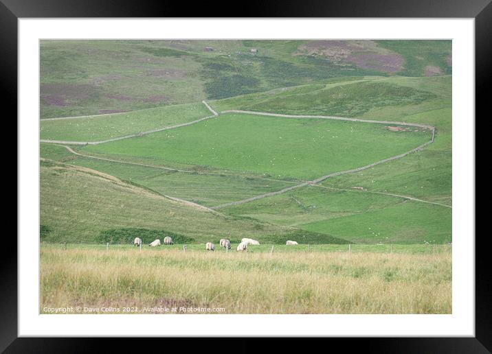 The Capehope valley in the Scottish Borders Framed Mounted Print by Dave Collins