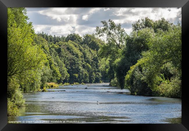The River Teviot near Roxburgh Framed Print by Dave Collins