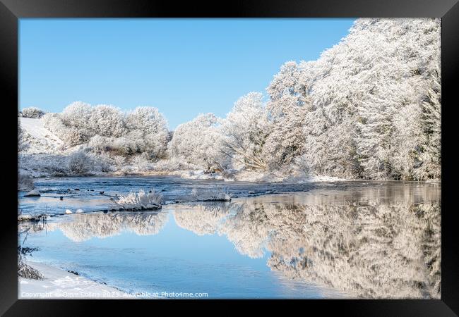 Ice and frost on trees reflected in the River Teviot Framed Print by Dave Collins
