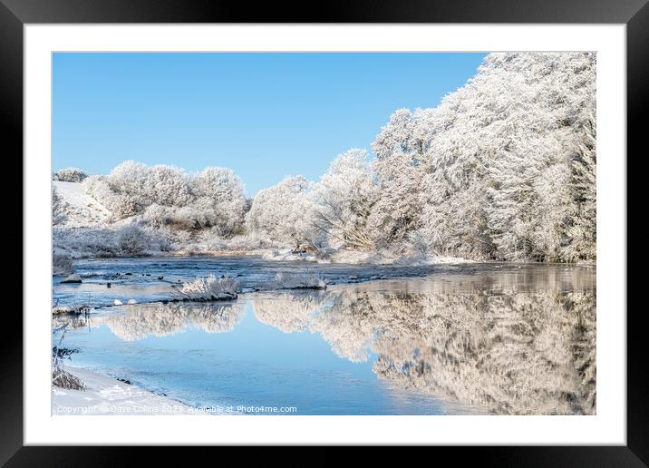 Ice and frost on trees reflected in the River Teviot Framed Mounted Print by Dave Collins