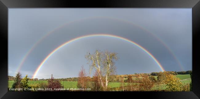 Double Rainbow over Ash Tree in winter in the Scottish Borders United Kingdom Framed Print by Dave Collins