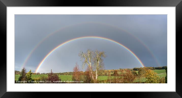 Double Rainbow over Ash Tree in winter in the Scottish Borders United Kingdom Framed Mounted Print by Dave Collins