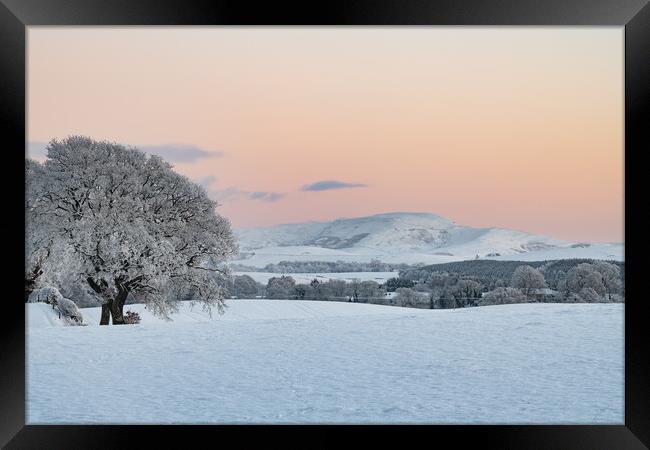 Sunset over snow covered fields and trees in the Scottish Borders, United Kingdom Framed Print by Dave Collins