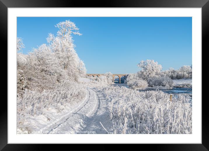 Roxburgh Viaduct over the river teviot in snow in  Framed Mounted Print by Dave Collins