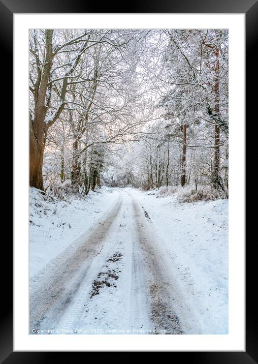Snow covered lane in the Scottish Borders in the United Kingdom Framed Mounted Print by Dave Collins