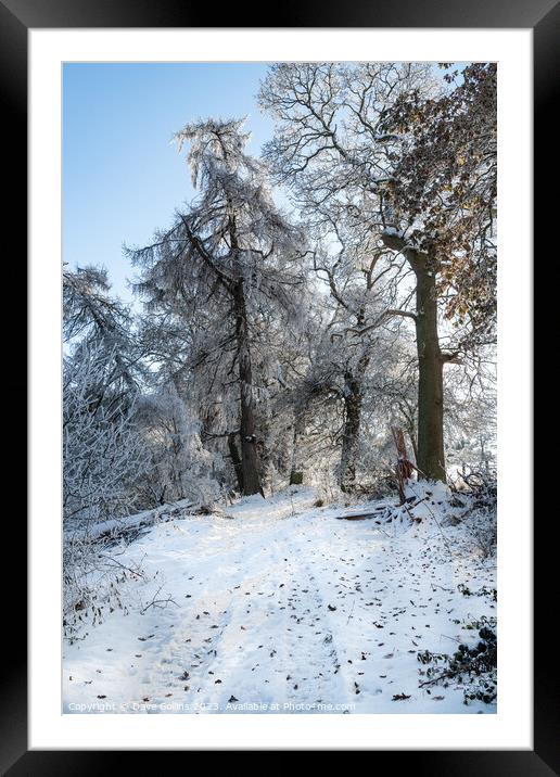 Snow covered in public footpath in the Scottish Borders Framed Mounted Print by Dave Collins