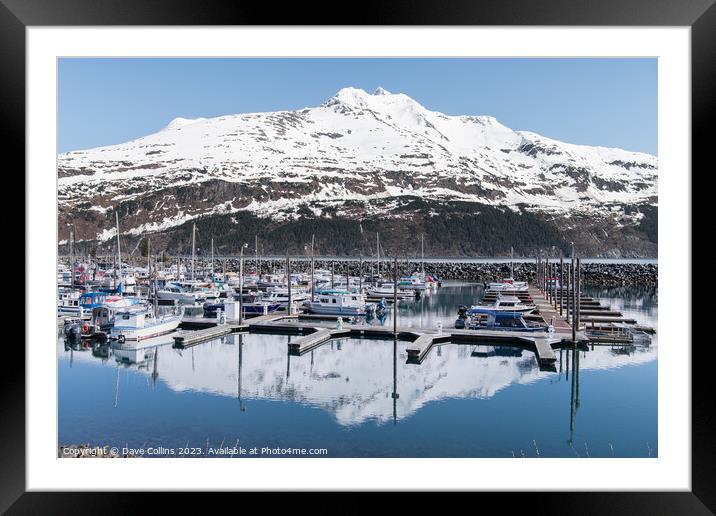 Snow covered mountain reflected in the calm waters of Whittier marina, Whittier, Alaska, USA Framed Mounted Print by Dave Collins