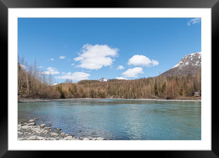 The Kenai River East of Sterling in Alaska, USA. Framed Mounted Print by Dave Collins