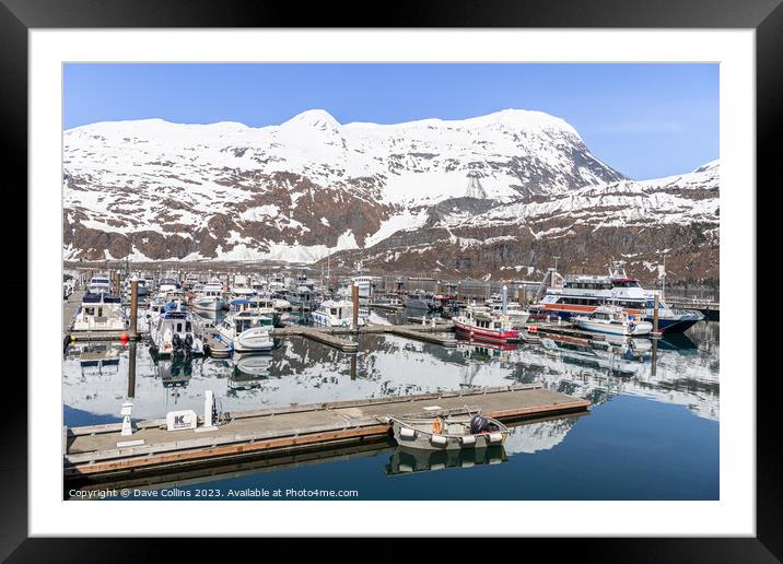 Outdoor Snow covered mountain reflected in the calm waters of Whittier marina, Whittier, Alaska, USA Framed Mounted Print by Dave Collins