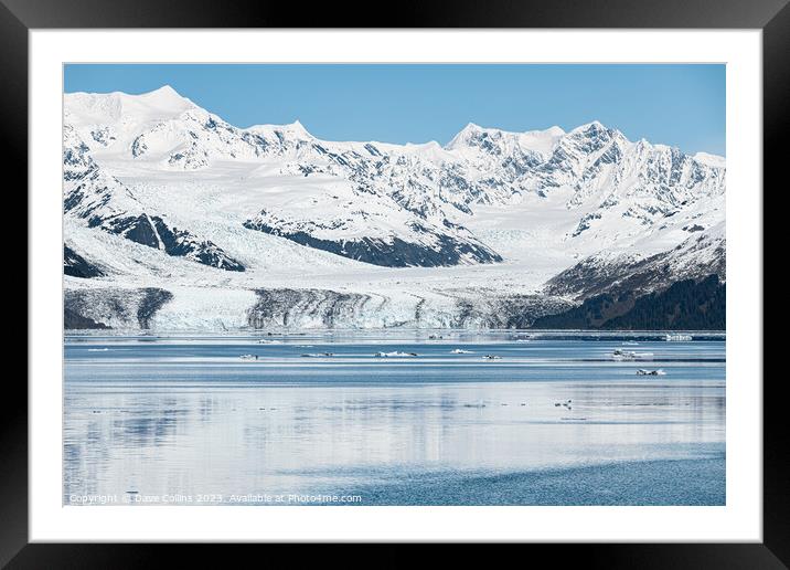 Harvard Tidewater Glacier at the end of College Fjord, Alaska, USA Framed Mounted Print by Dave Collins