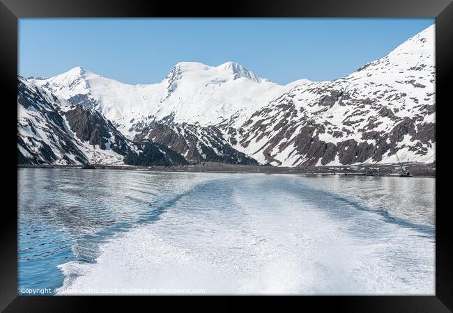 The wake of a boat and the mountains around Price William Sound, Alaska, USA Framed Print by Dave Collins