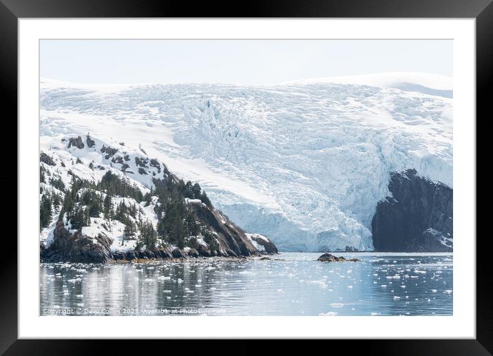 Blackstone Tidewater Glacier in Blackstone bay, Alaska, USA Framed Mounted Print by Dave Collins
