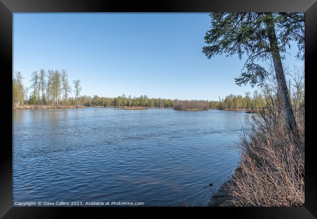 Looking north on the Susitna River from Willow Creek, Alaska, USA Framed Print by Dave Collins