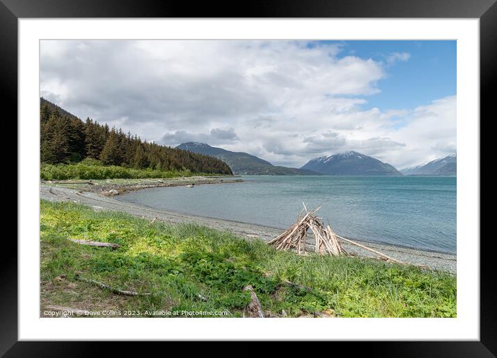 Beach in Chilkat State Park, Haines, Alaska, USA from Kelgaya Point Framed Mounted Print by Dave Collins
