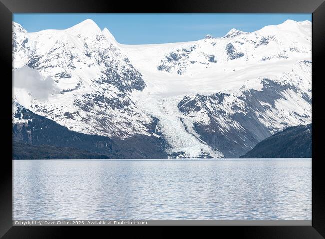 A small Tidal Glacier in College Fjord, Prince William Sound, Alaska, USA Framed Print by Dave Collins