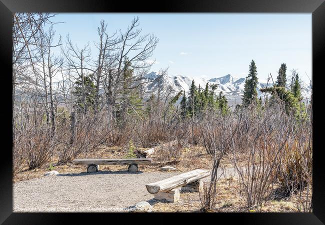 Seats in a rest area of the Savage River Trail in Denali National Park, Alaska, USA Framed Print by Dave Collins