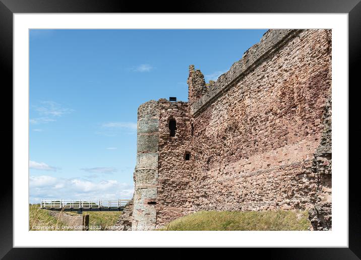The remains of the west wall of Tantallon Castle, North Berwick, East Lothian, Scotland Framed Mounted Print by Dave Collins