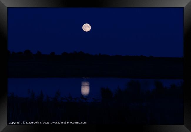 Moon Rising over and reflected in Frampton Marsh, Lincolnshire, England Framed Print by Dave Collins