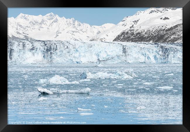 Growlers (small Icebergs) floating on the sea in front of Harvard Tidewater Glacier at the end of College Fjord, Alaska, USA Framed Print by Dave Collins